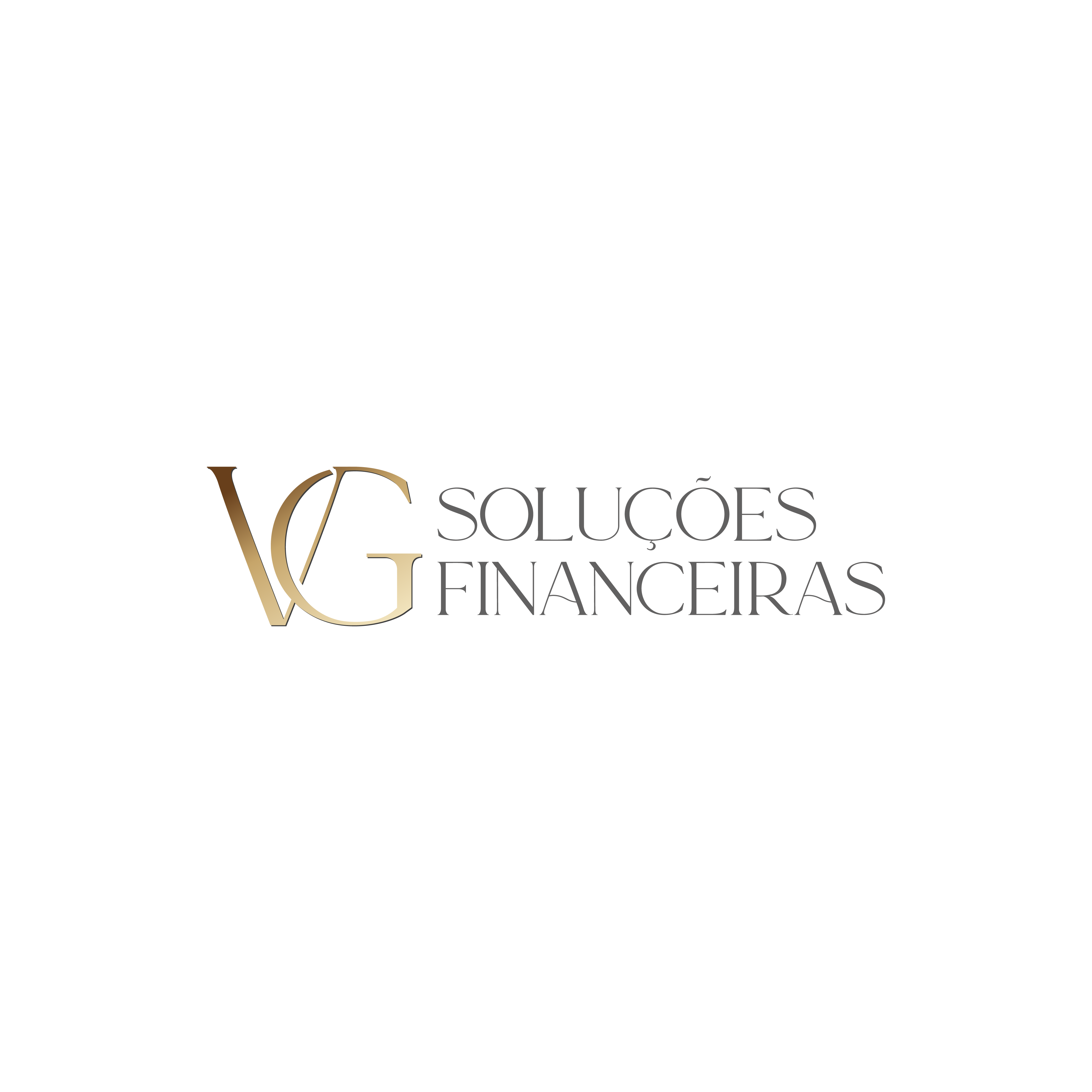 VG Soluções Financeiras